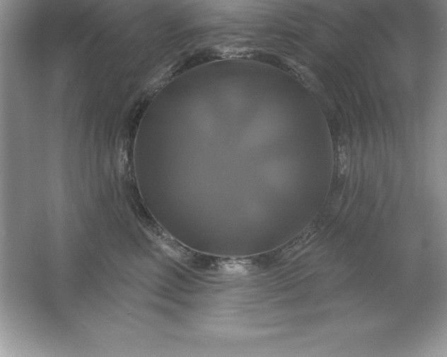 X0000061750618200512161718