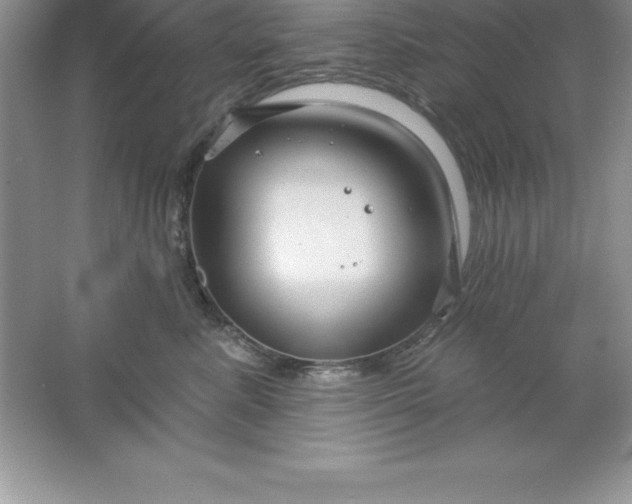 X0000061750619200512161718