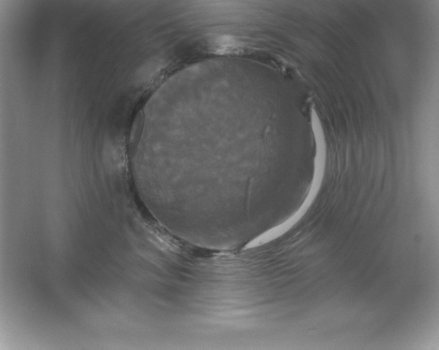 X0000061750620200512161718