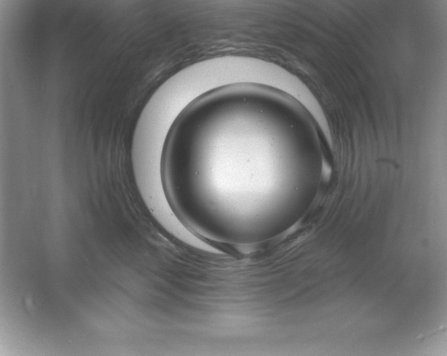 X0000061750621200512161718