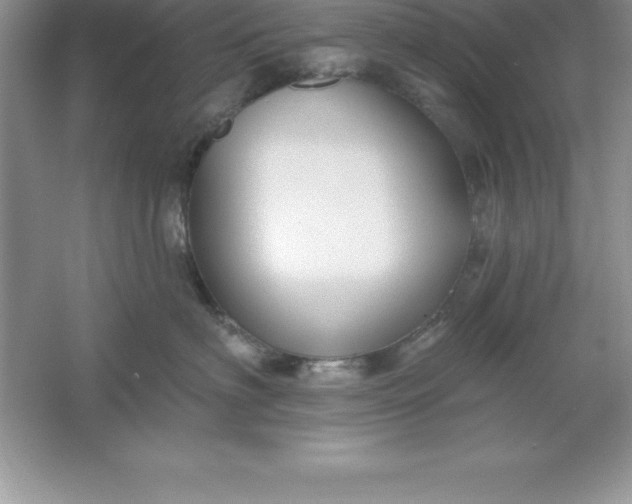 X0000061750622200512161718