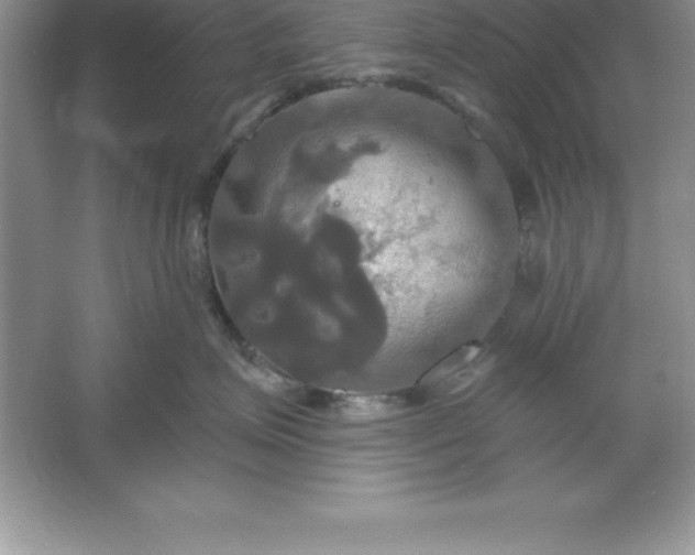 X0000061750623200512161718