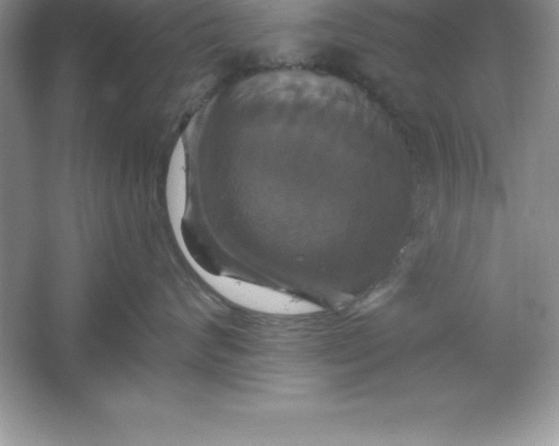 X0000061750624200512161718