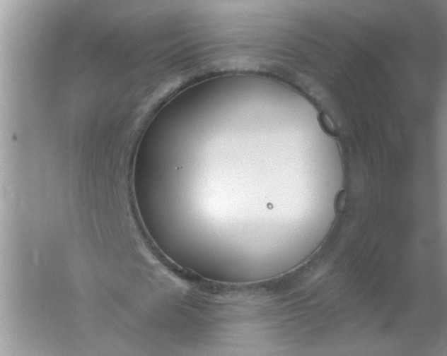 X0000061750625200512161717