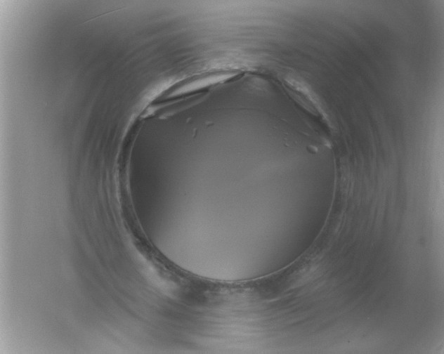 X0000061750626200512161717