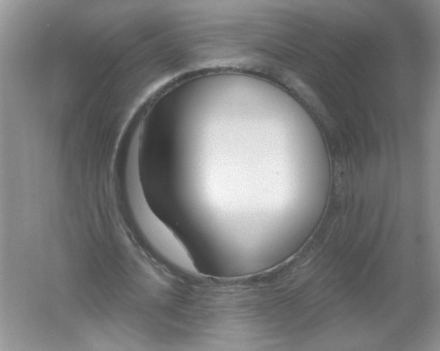 X0000061750628200512161717