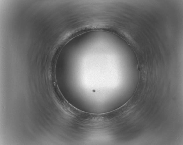 X0000061750631200512161717