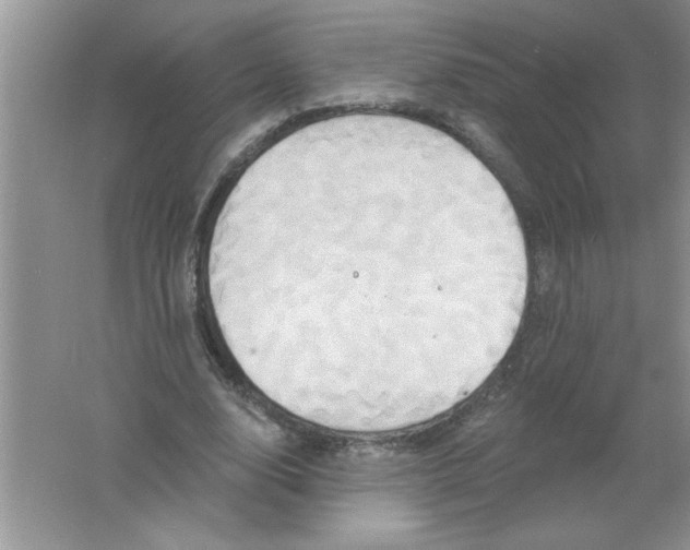 X0000061750632200512161717