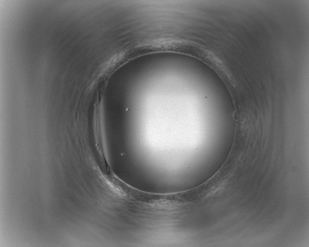 X0000061750633200512161718