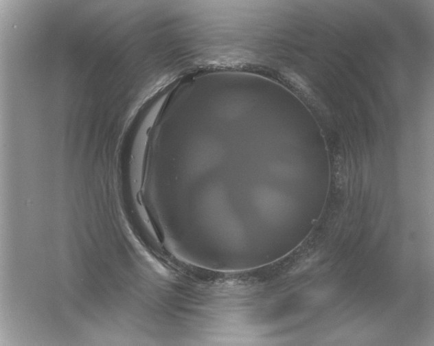 X0000061750634200512161718