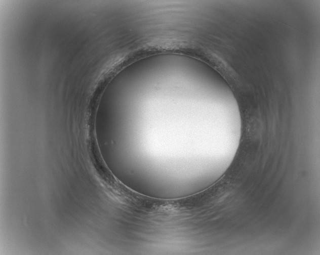 X0000061750635200512161718