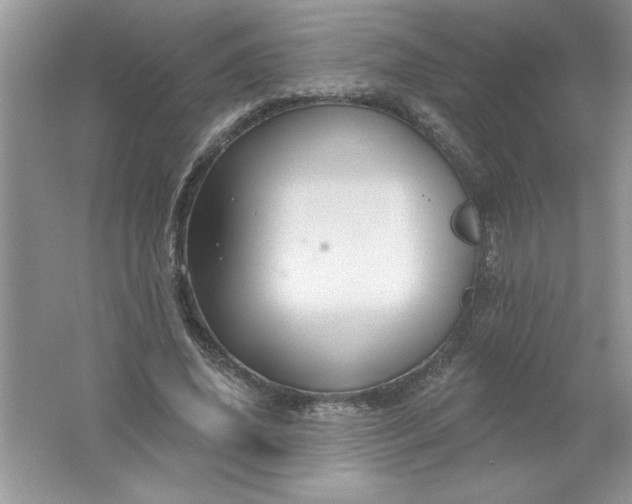 X0000061750636200512161718