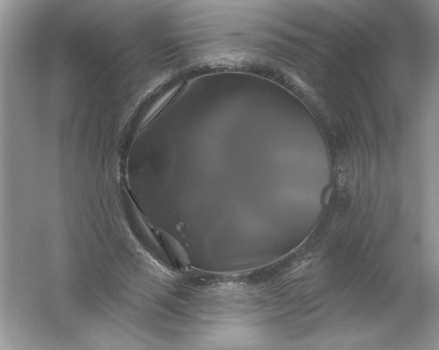 X0000061750637200512161718