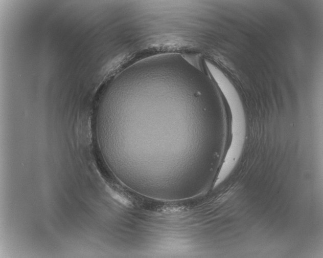 X0000061750638200512161718