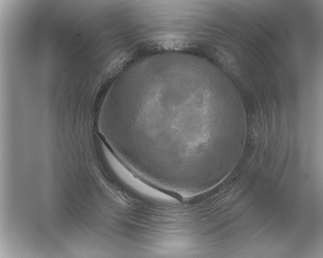 X0000061750639200512161718