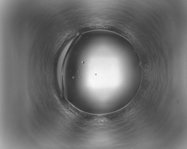 X0000061750642200512161718