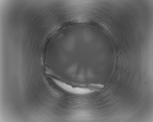 X0000061750643200512161718