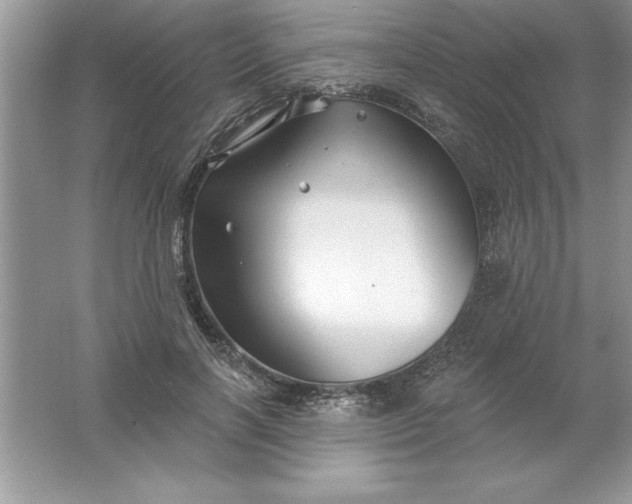 X0000061750646200512161718