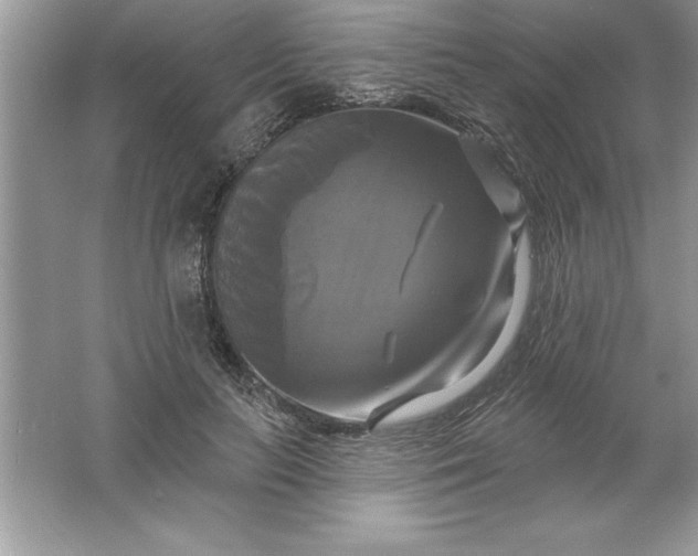 X0000061750647200512161718