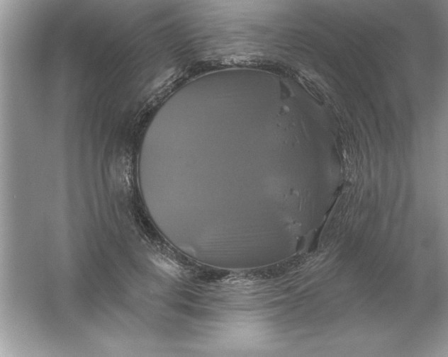 X0000061750648200512161718