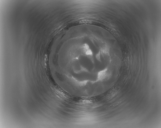 X0000061750649200512161718