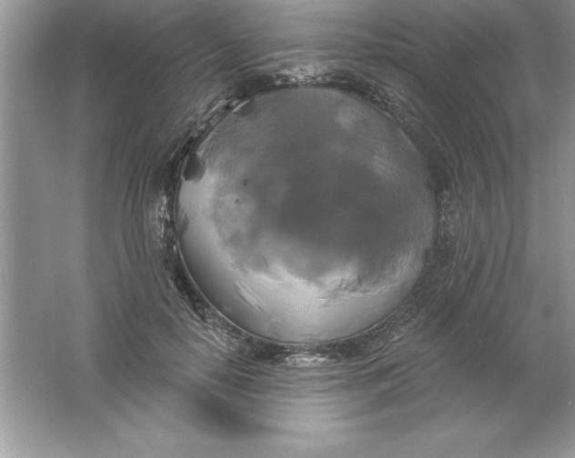 X0000061750650200512161718