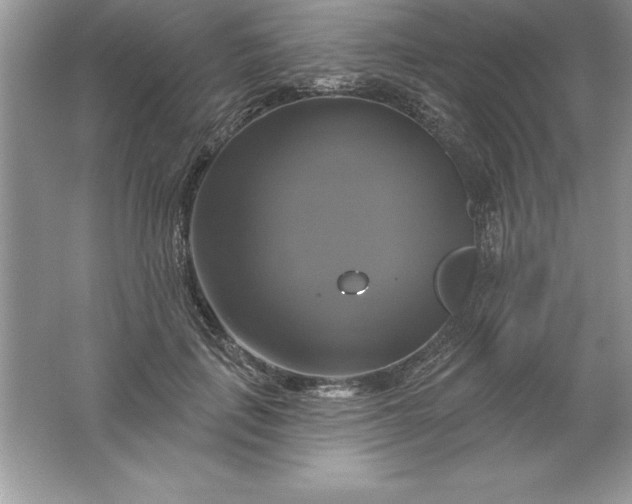 X0000061750651200512161718