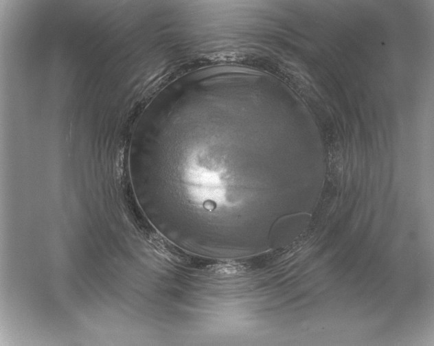 X0000061750652200512161718