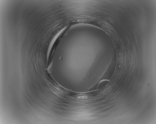 X0000061750653200512161718