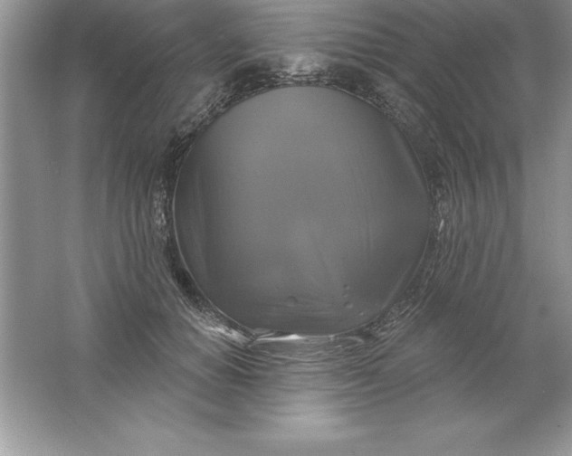 X0000061750654200512161718