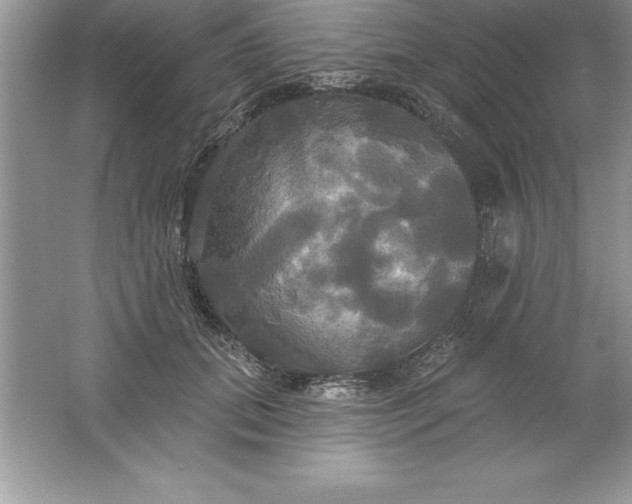 X0000061750655200512161718