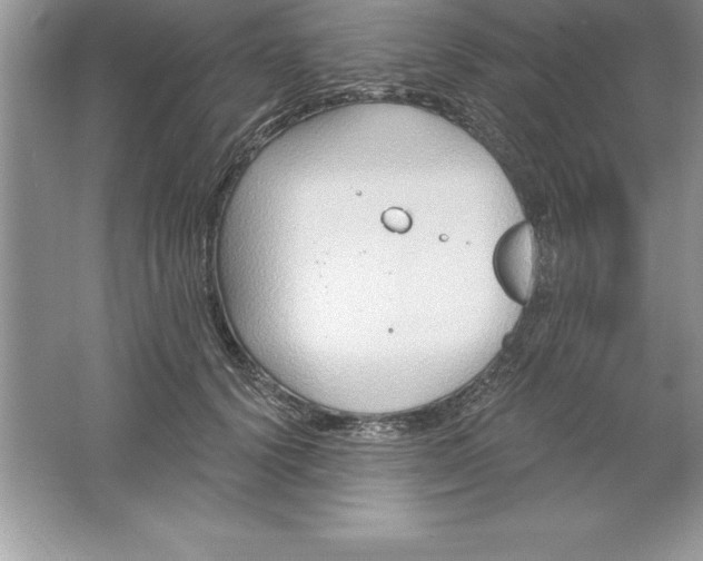 X0000061750656200512161718