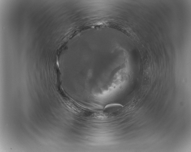 X0000061750658200512161718