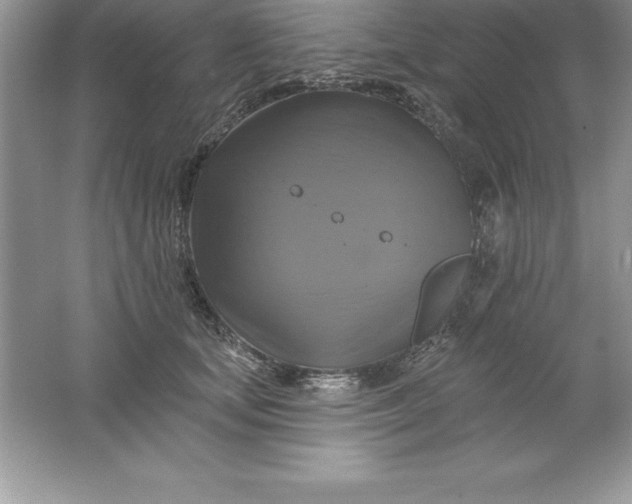 X0000061750659200512161718