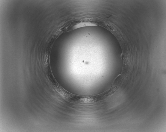 X0000061750660200512161718