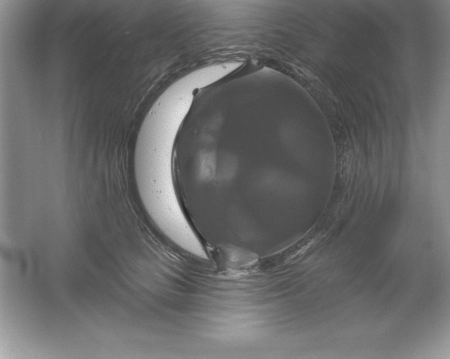 X0000061750661200512161718