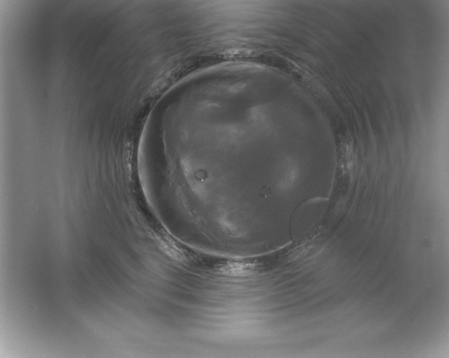 X0000061750664200512161718