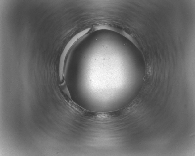 X0000061750666200512161718