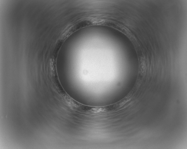 X0000061750667200512161718