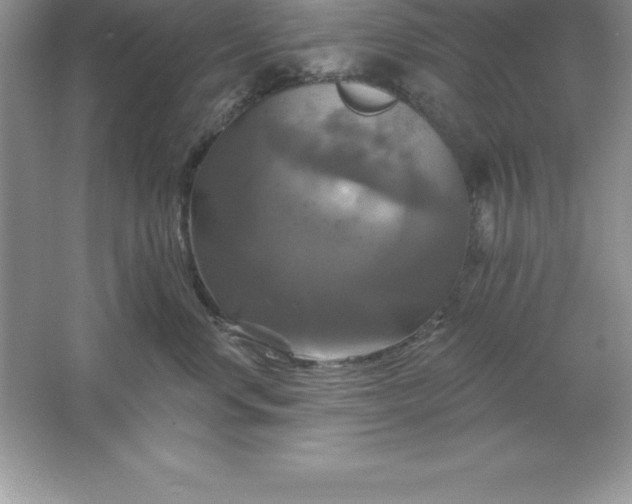 X0000061750668200512161718