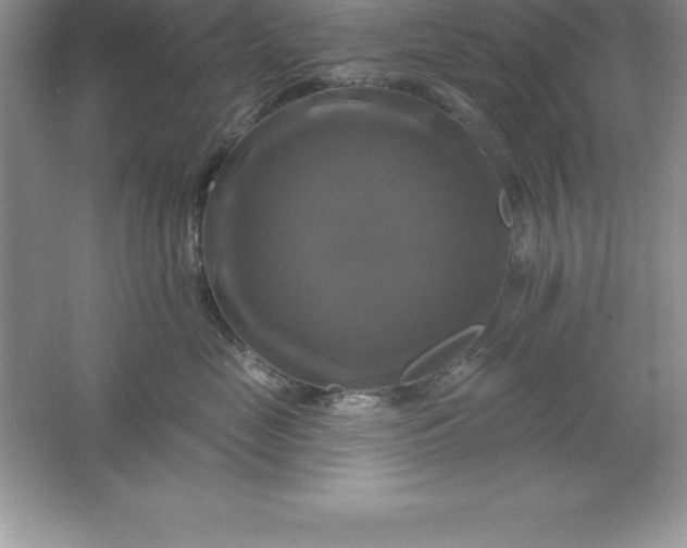 X0000061750669200512161718