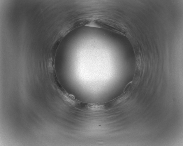 X0000061750670200512161718