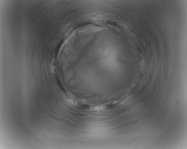 X0000061750671200512161718