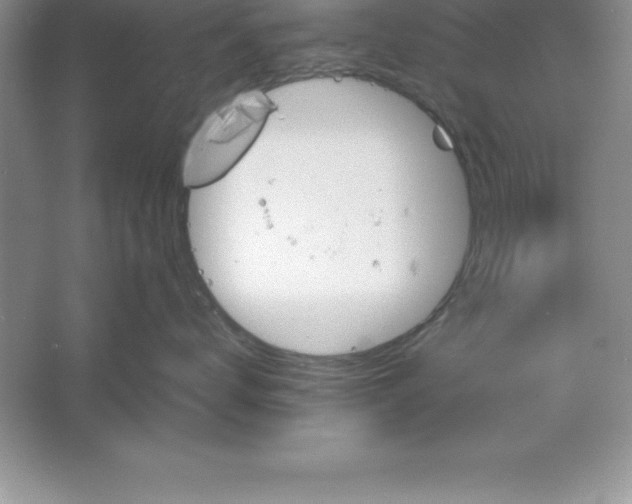 X0000061750672200512161718