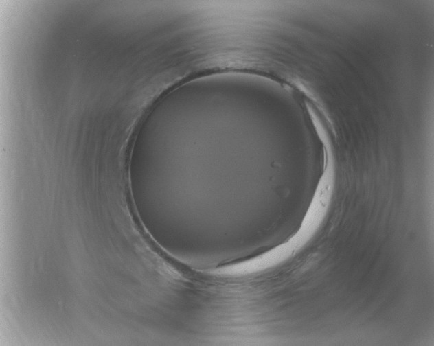 X0000061750673200512161717