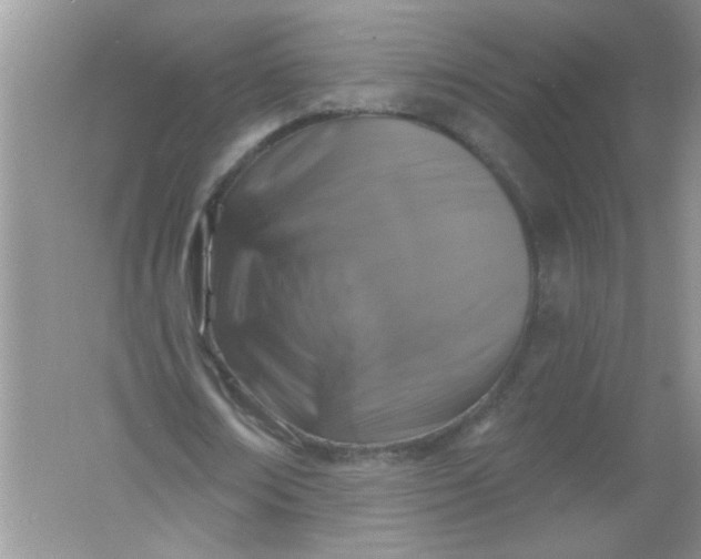 X0000061750674200512161717