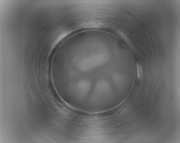 X0000061750675200512161717