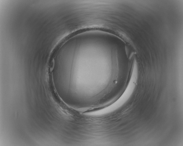 X0000061750676200512161717