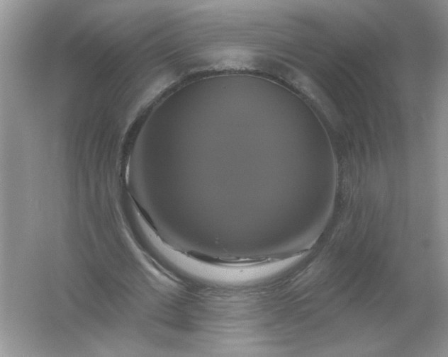 X0000061750677200512161717