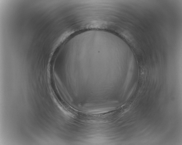 X0000061750678200512161717